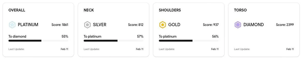 Rank cards on the BuddyBack dashboard: overall, neck, shoulders and torso, each with a tier and progress to the next one.